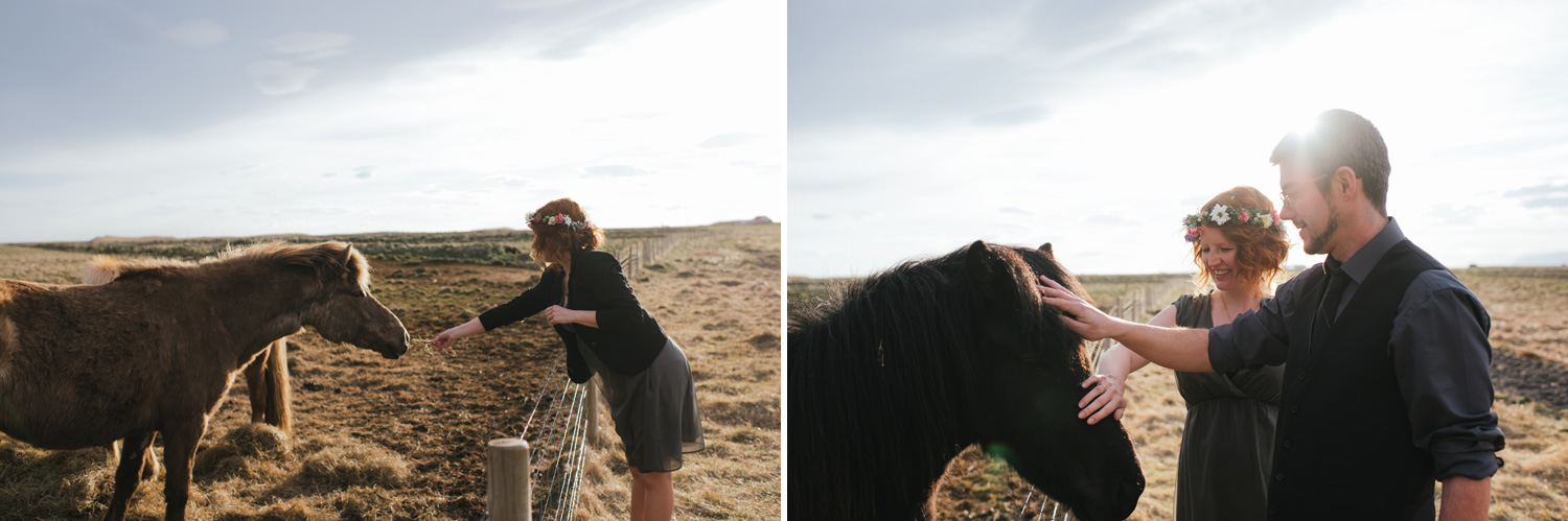 bride and groom with Icelandic horses